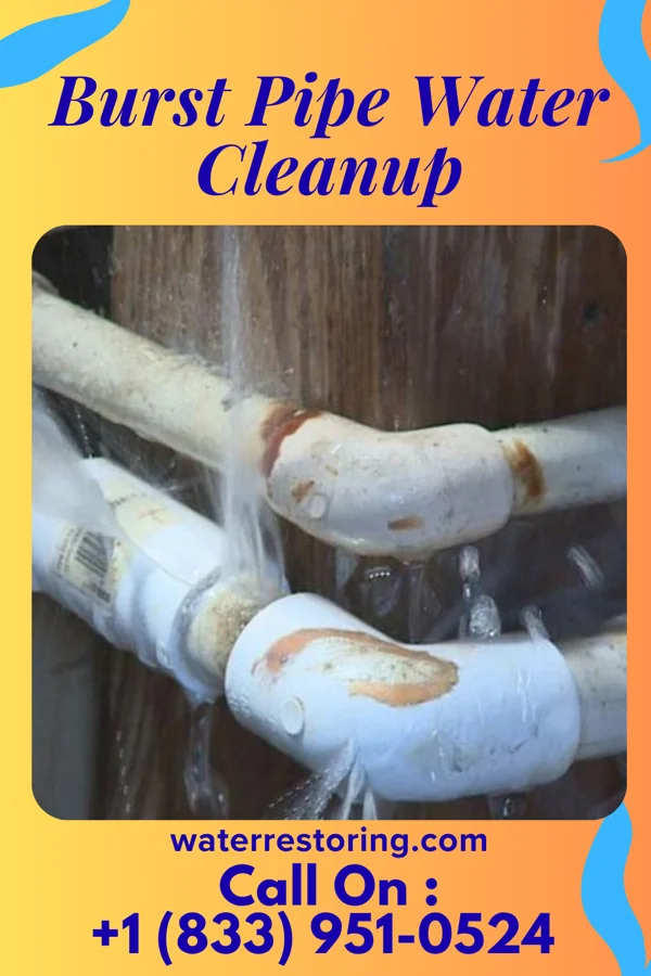 Burst Pipe Water Cleanup in East Franklin, NJ