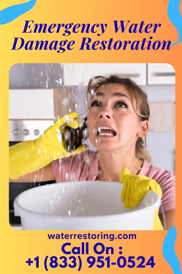 Emergency Water Damage Restoration in East Franklin, NJ