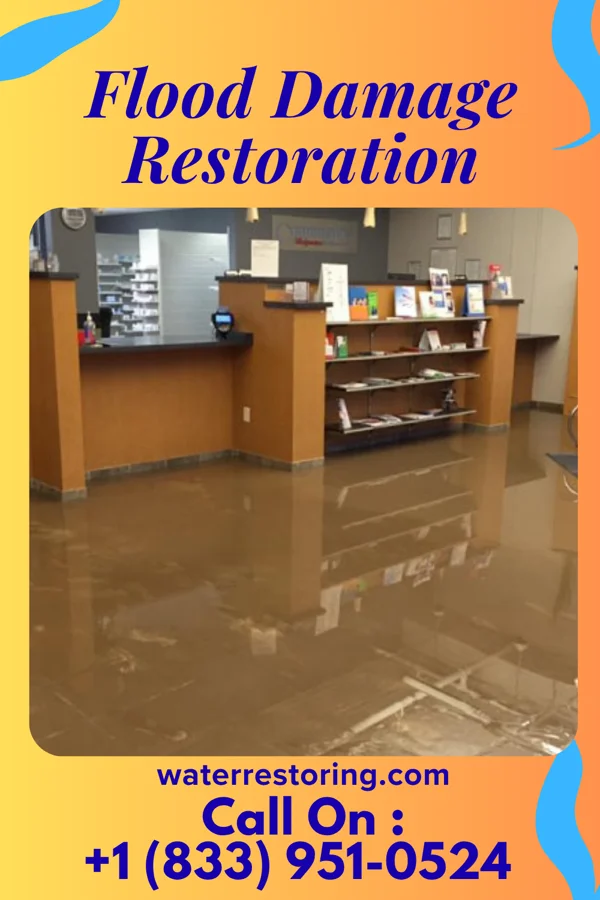 Flood Damage Restoration in East Franklin, NJ