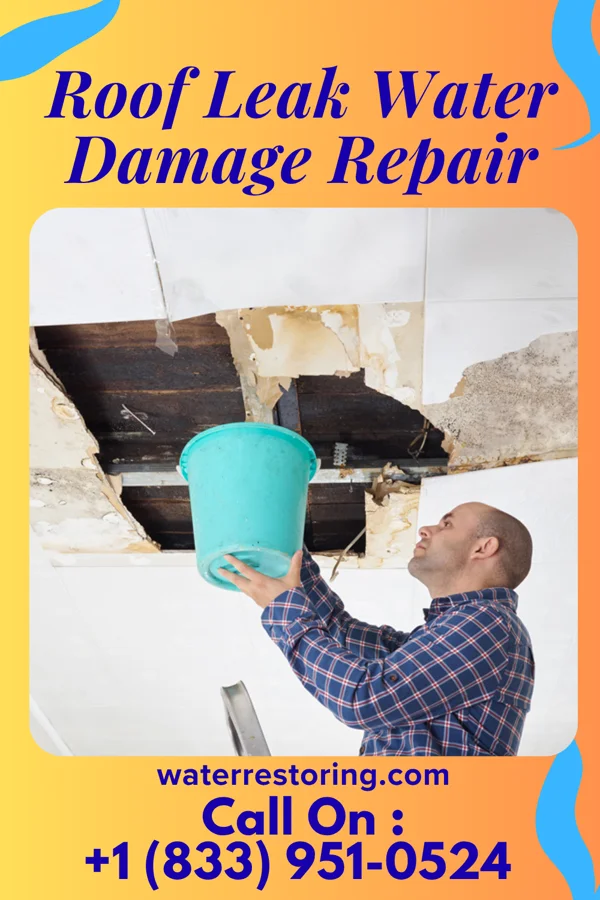 Roof Leak Water Damage Repair in East Franklin, NJ