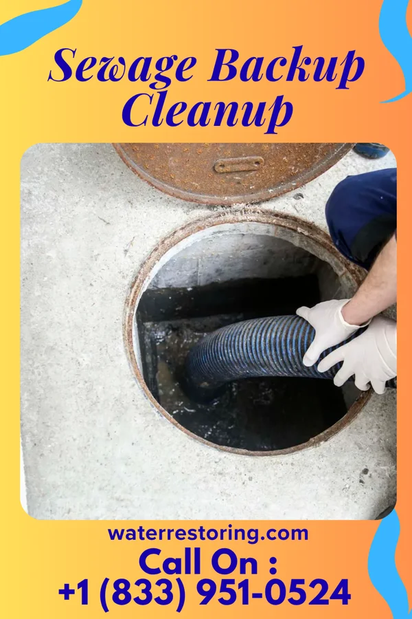 Sewage Backup Cleanup in East Franklin, NJ