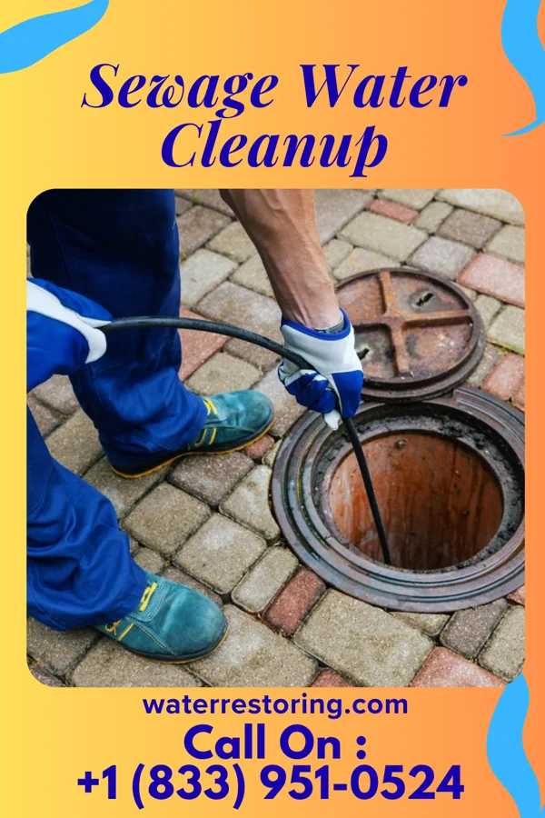 Sewage Water Cleanup in East Franklin, NJ