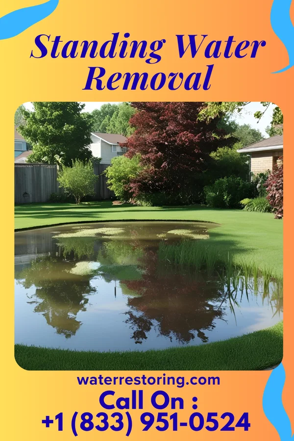 Standing Water Removal in East Franklin, NJ